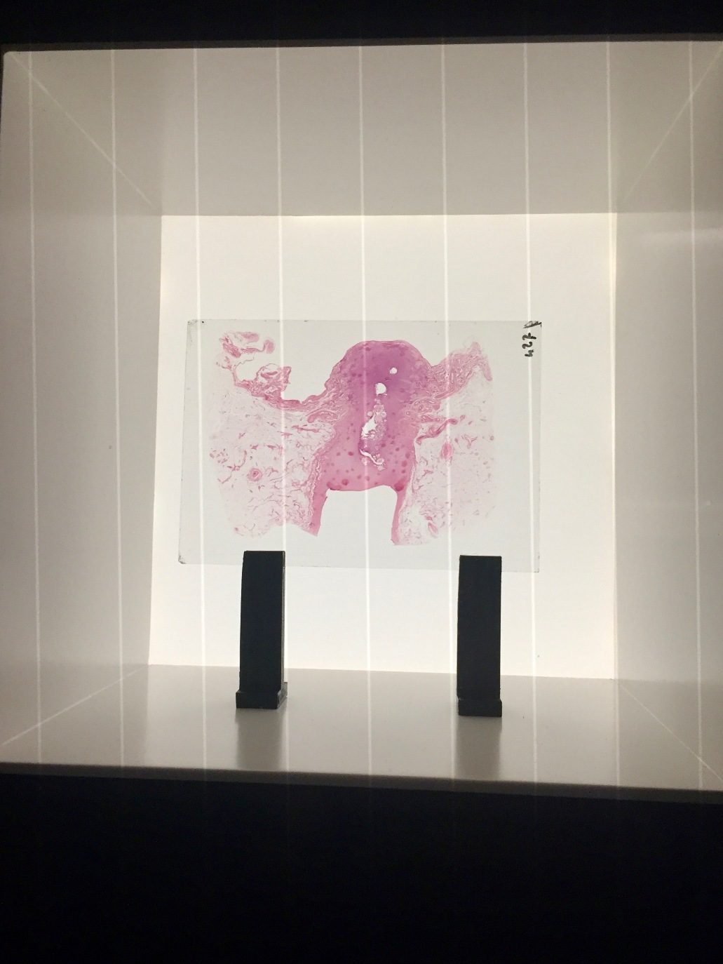 Sala C (2).jpg